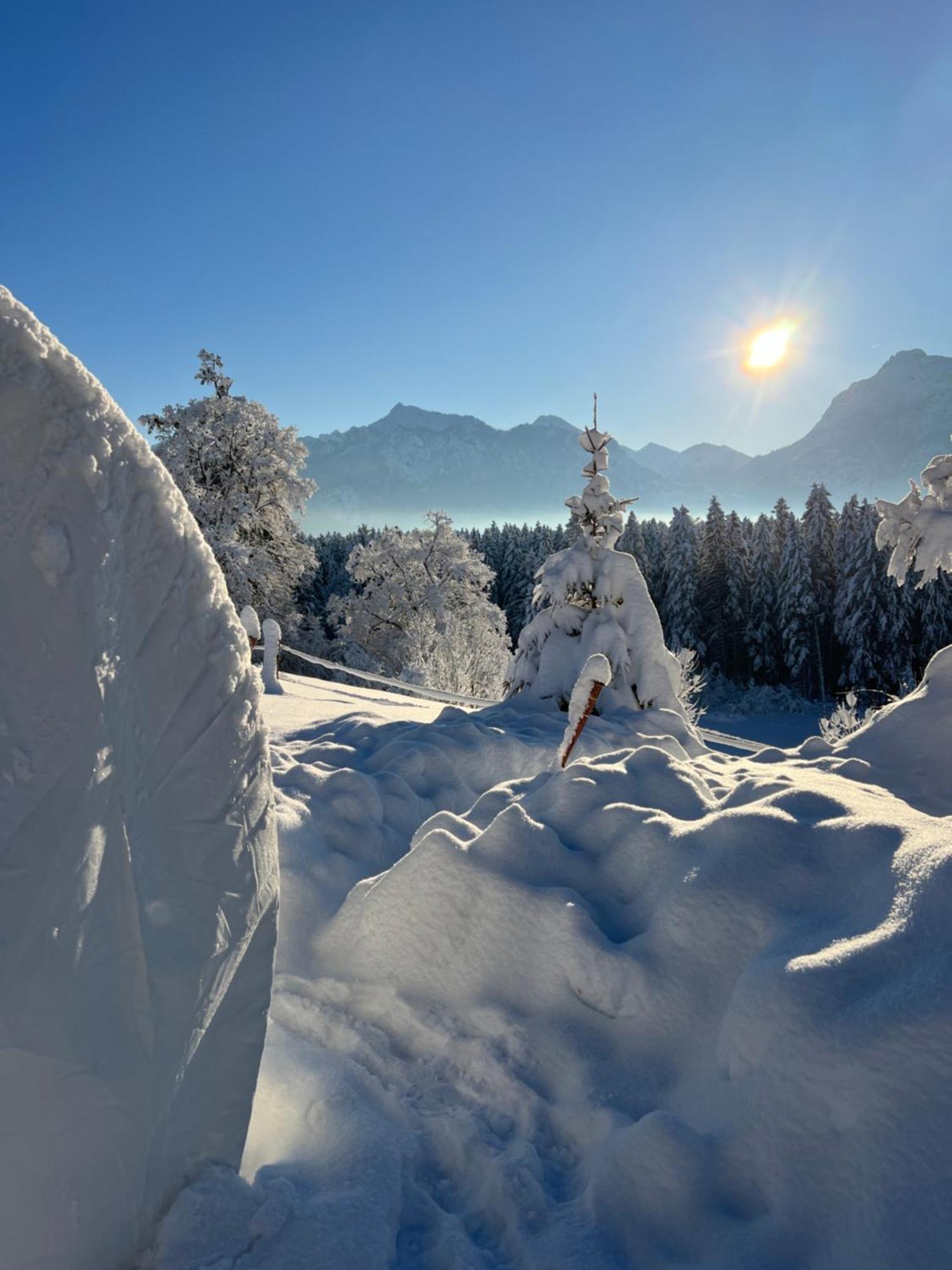 Bubble Tent Fuessen Im Allgaeu Buitenkant foto